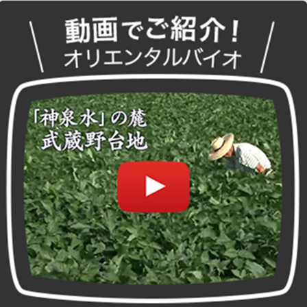 OrientalBio 公式youtube