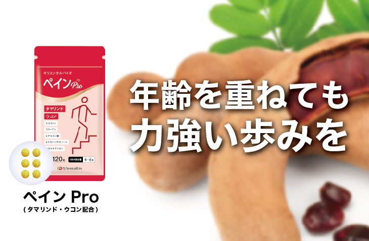 ペイン Pro