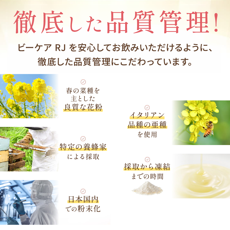 徹底した品質管理、限りなく天然に近い新鮮なローヤルゼリーを主成分に製造