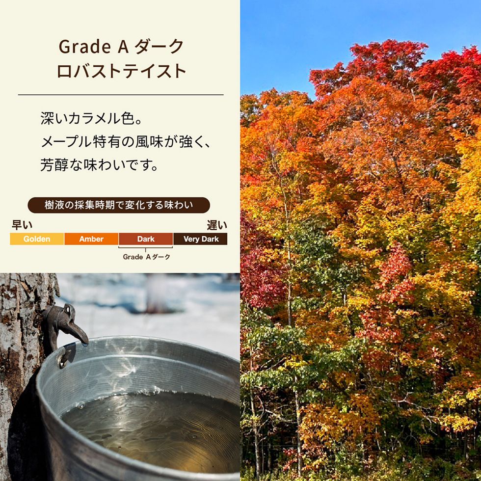 カエデの樹液を煮詰めてつくった100%ピュアメープルシロップ