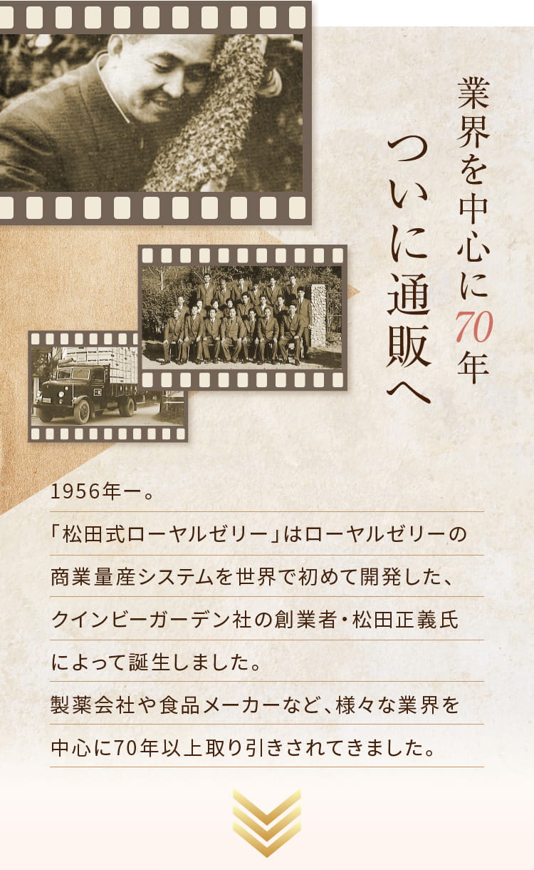 業界を中心に70年 ついに通販へ 1956年ー。「松田式ローヤルゼリー」はローヤルゼリーの商業量産システムを世界で初めて開発した、クインビーガーデン社の創業者・松田正義氏によって誕生しました。製薬会社や食品メーカーなど、様々な業界を中心に70年以上取り引きされてきました。