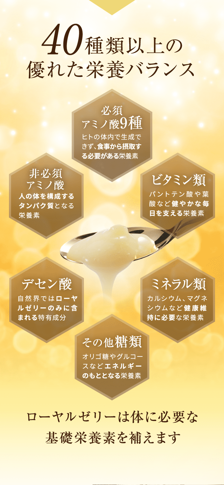 40種類以上の優れた栄養バランス [必須アミノ酸9種][アミノ酸][ビタミン類][デセン酸][ミネラル類][その他糖類] ローヤルゼリーは体に必要な基礎栄養素を補えます