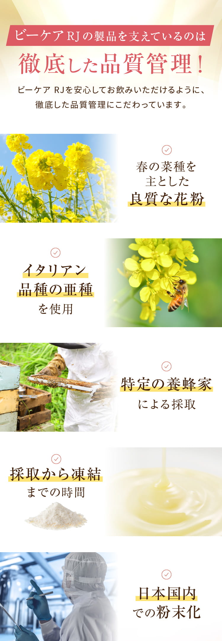 RJビーケアの製品を支えているのは徹底した品質管理！ビーケア RJを安心してお飲みいただけるように、徹底した品質管理にこだわっています。[良質な花粉春の菜種を主とした][イタリアン品種の亜種を使用][特定の養蜂家による採取][採取から凍結までの時間][日本国内での粉末化]