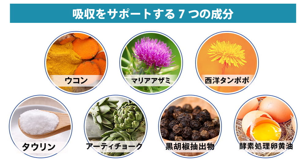 エパゴールド 吸収をサポートする7つの成分