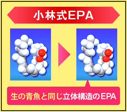 小林式EPA…生の青魚と同じ立体構造のEPA