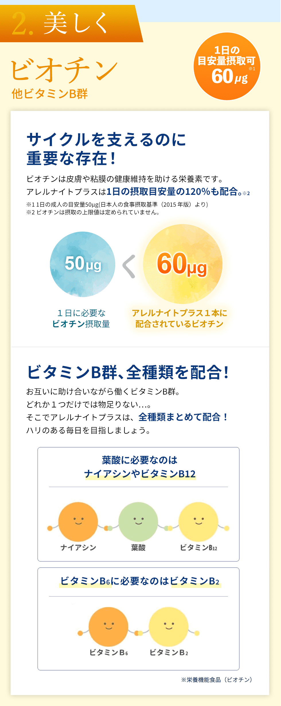 2つ目、美しく。ビオチンは皮膚の粘膜や健康維持に役立つ重要なビタミンです。アレルナイトプラスはビオチンを60マイクログラム配合。